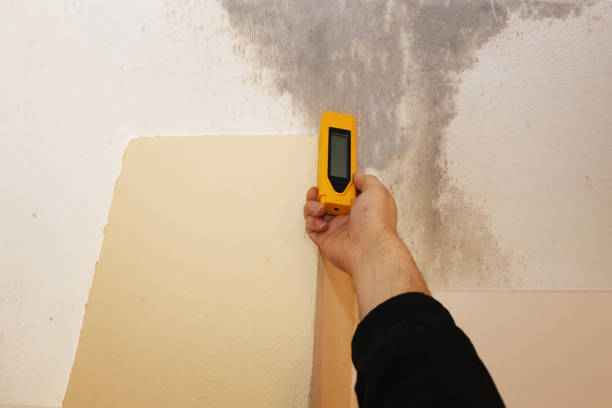 Dehumidification Services in Archbald, PA