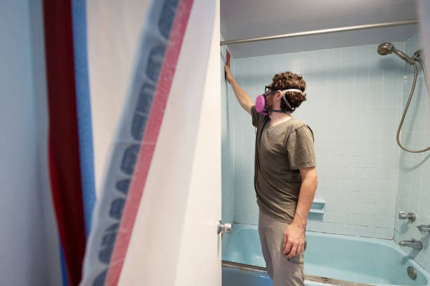 Best Basement Mold Removal  in Archbald, PA