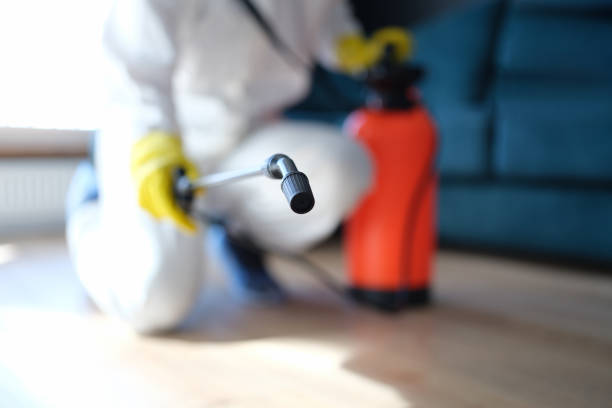 Best Mold Prevention Services  in Archbald, PA